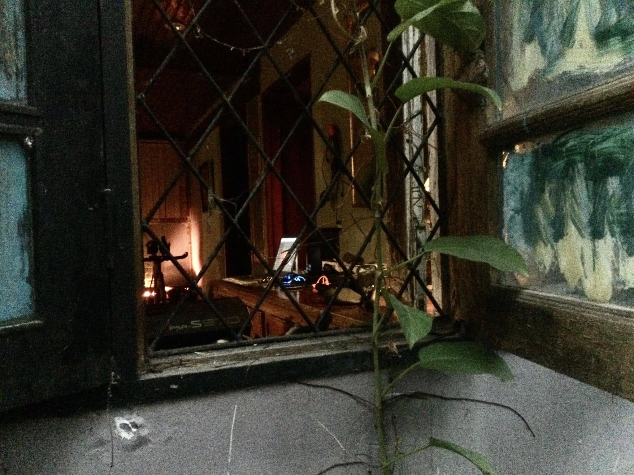 642735035 26509740182040687 4291901429731966002 N