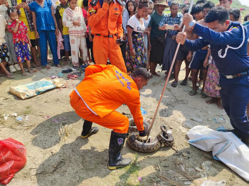 643909164 1243905757921188 3653834531620767395 N