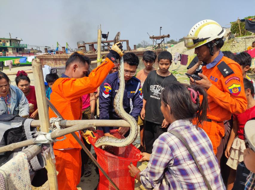 644917908 1243905754587855 5181976189711462437 N