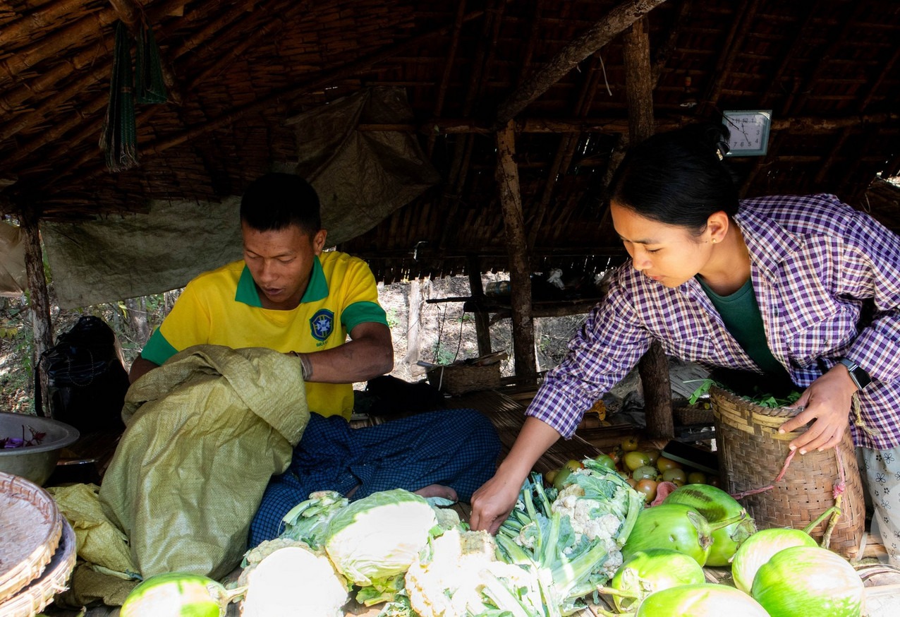 Mm News.xyz 2026 03 08 183650