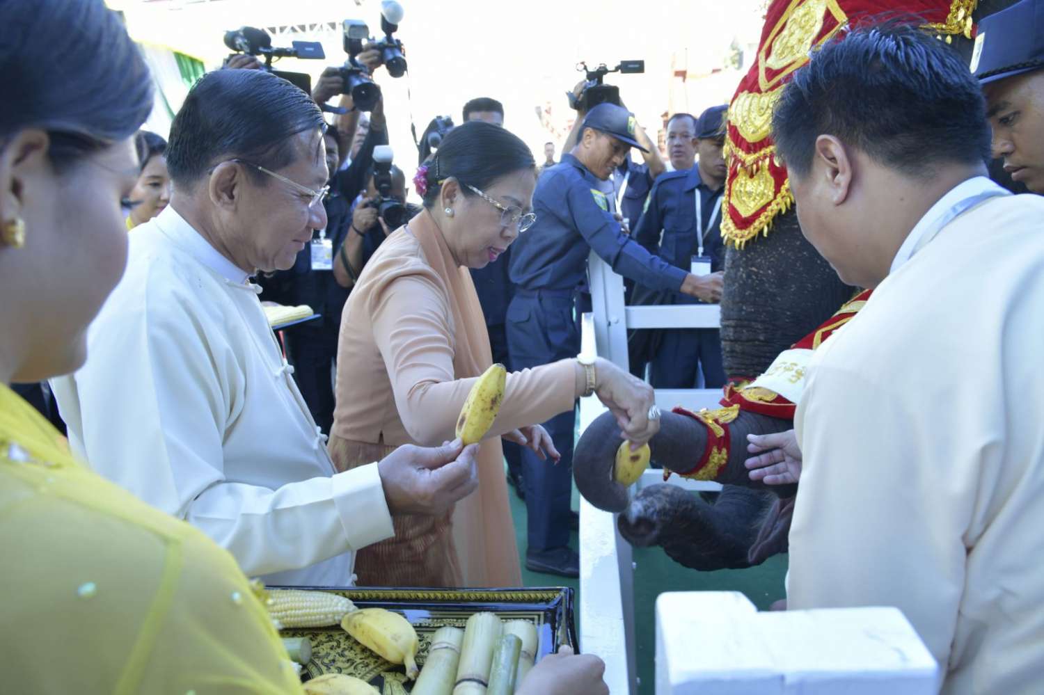စစ်ခေါင်းဆောင် အထွတ်အမြတ်ထားသည့် ဆင်ဖြူ ၁ ကောင် သေဆုံး