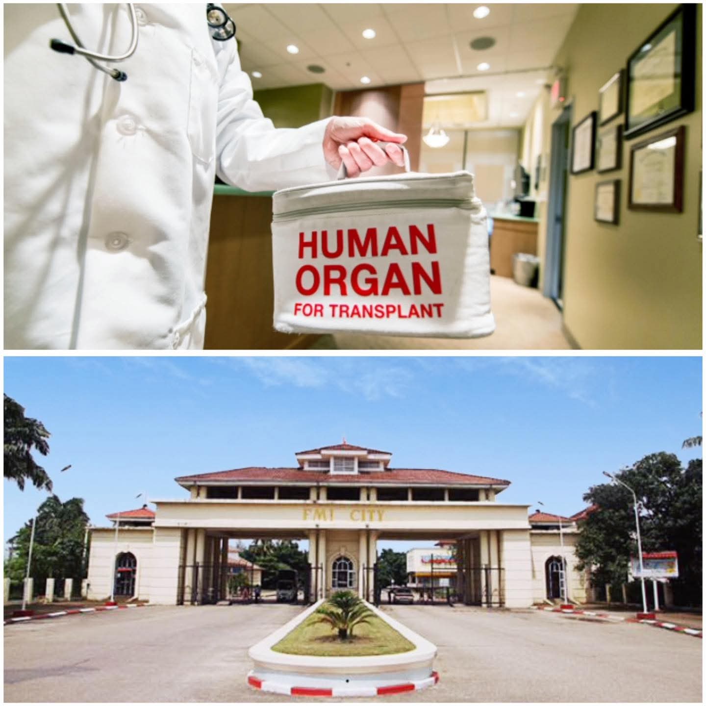 လှိုင်သာယာ FMI အိမ်ယာထဲက ငရဲခန်း (သို့မဟုတ်) တရုတ်ပြည်၏ ကိုယ်အင်္ဂါပစ္စည်းအပိုဈေးကွက်…