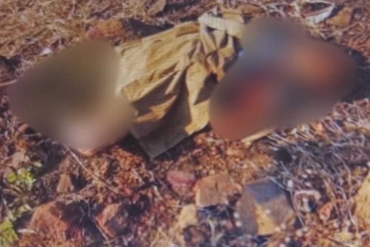 แแปแฑแฌแแบแแแบแธแแฑแฌแแบแธ แแฏแแผแญแฏแทแแแบแกแฏแแบแแปแฏแแบแแฑแธแแพแฐแธ แแแบแธแแฑแฌแบแฆแธแ แแผแญแฏแทแแแบแแฑแฌแแบแแพแแทแบ แกแฏแแบแแฝแแบแธแแพ แแปแฐแ
แฑแฌแแฎแธแแพแแบแท แกแฏแแบแแปแฏแแบแแฑแธแแพแฐแธแแญแฏแท แแ
แบแแแบแแถแแแผแฎแธ แแฑแแฏแถแธ