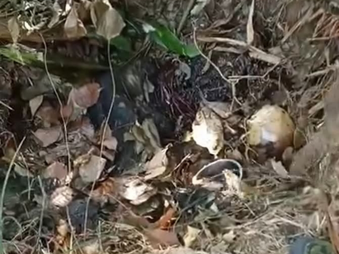 แแผแพแฏแแบแแฑแฌแแบ แแแผแพแฏแแบแแญแฏแแบแแฑแฌแทแแญแฏแท แแฝแแบแธแแฒ แ
แฏแแผแฏแถแแญแฏแธแแแบแทแแฌแธแแฒแท