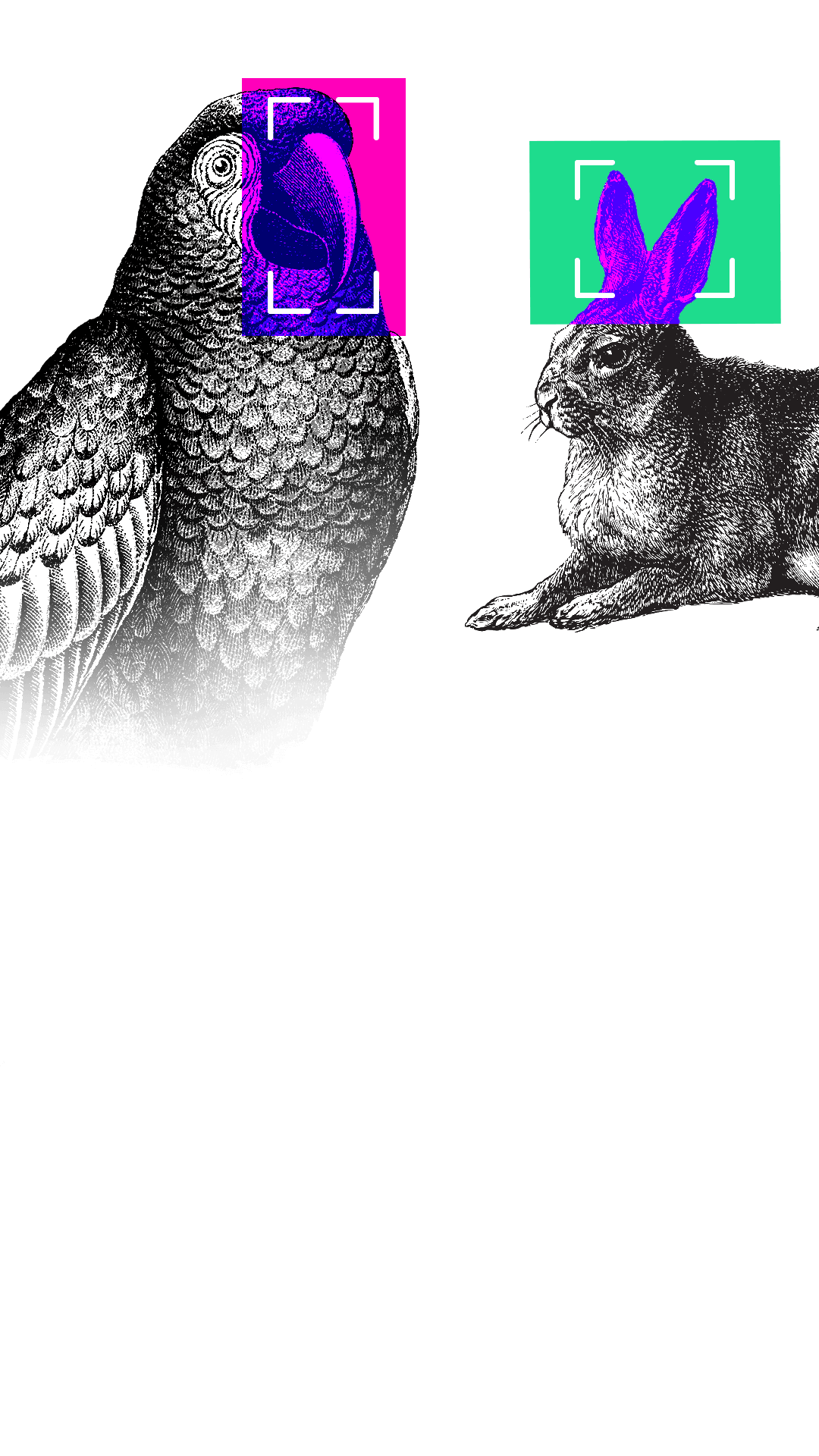 အေအိုင်ဆိုတာကို ရိုးရှင်းစွာ နားလည်ဖို့