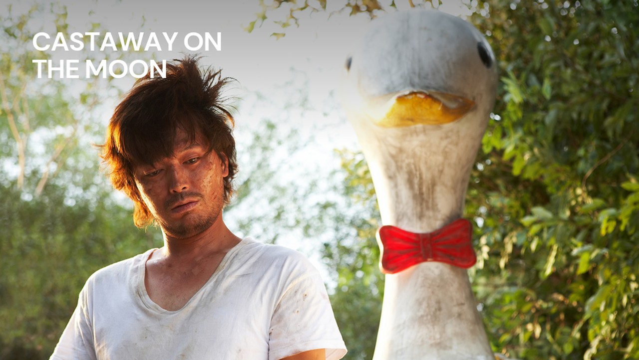 Castaway on the Moon
