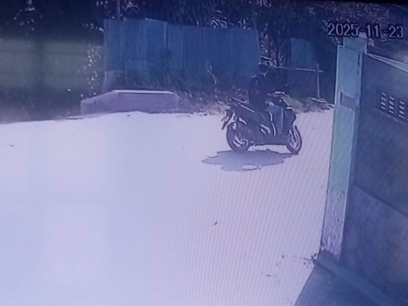 แแแบแแผแฎแธแแฝแแบแกแญแฏแแฝแฑแแญแฏ แแ
แบแแพแแบแแฌแธแแฌแแฒแท แแญแฏแธแแฝแแบแแฎแธแแปแฌแธ