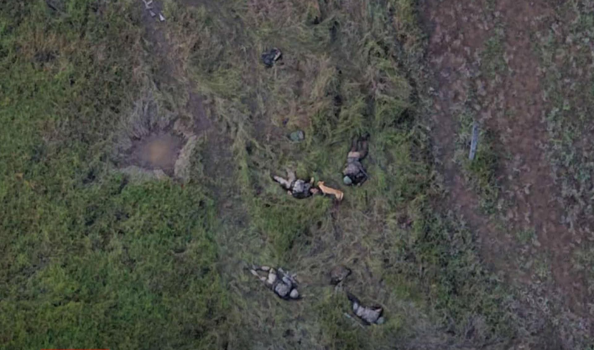 แแแบแธโแแฑแฌแแบแแผแญแฏแทแแฒ แแผแแบแแแบแแญแฏแแบแแญแฏแทแแผแญแฏแธแ
แฌแธแแฒแท แ
แ
แบแแแบแแฒแท SNA โแแฑแแฏแถแธ