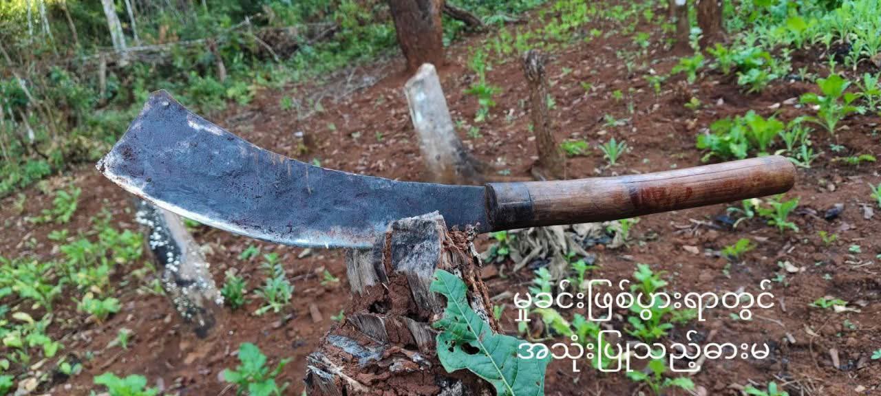 အမျိုးသမီးကို ဓားနဲ့ခုတ်ပြီး သူကိုယ်တိုင်လည်း မီးထဲခုန်ချခဲ့လို့ သေဆုံး