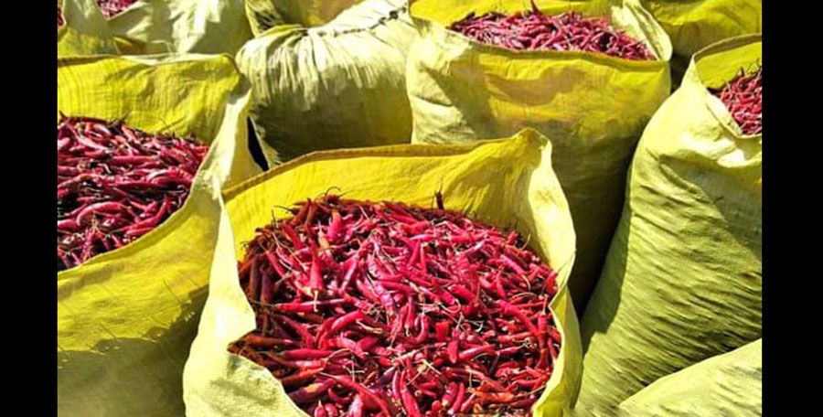 ဓာတ်ကြွင်းတွေ့ရှိမှုကြောင့် ငရုတ်သီးတင်ပို့မှုကို ဓာတ်ခွဲခန်း စစ်ဆေးပြီးမှ ခွင့်ပြုတော့မည်