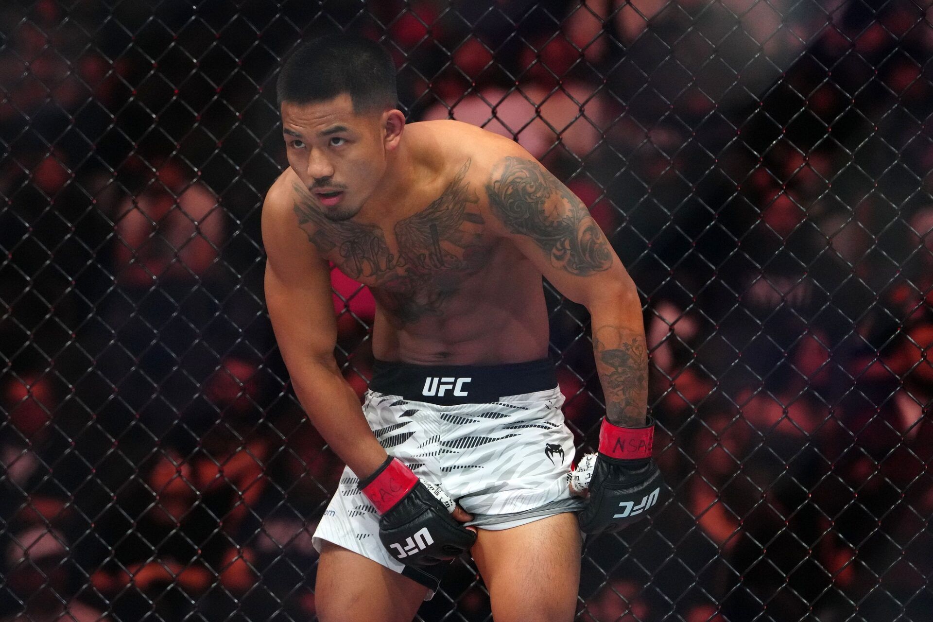 ချင်းတိုင်းရင်းသား ဖိုက်တာ ဂျိုရှူအာဗန် UFC ဖလိုင်းဝိတ်တန်း ချန်ပီယံဖြစ်လာ