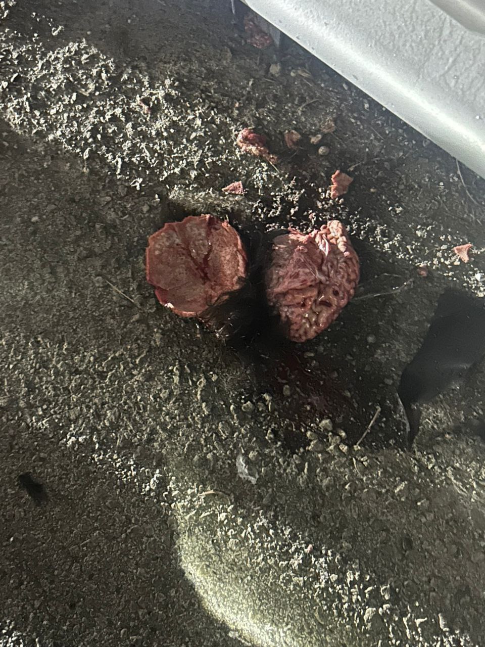 ၂၅ ရက်နေ့ မနက်အစောပိုင်း ၃ နာရီ မှာ ဆိုင်ကယ်မောင်းပြိုင်ပွဲပြုလုပ်ရာက