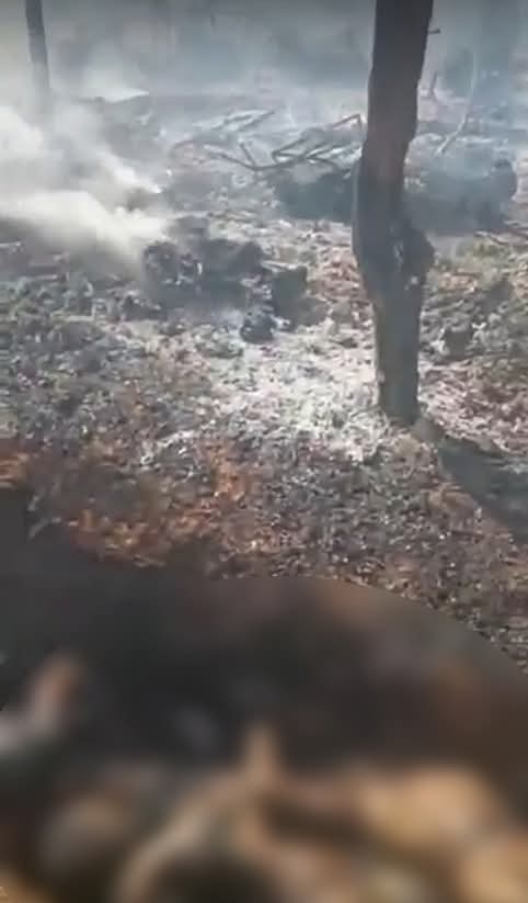 ဆားလင်းကြီးတွင် လေကြောင်းတိုက်ခိုက်မှုကြောင့် PDF ရဲဘော် ၁၁ ဦး ကျဆုံး