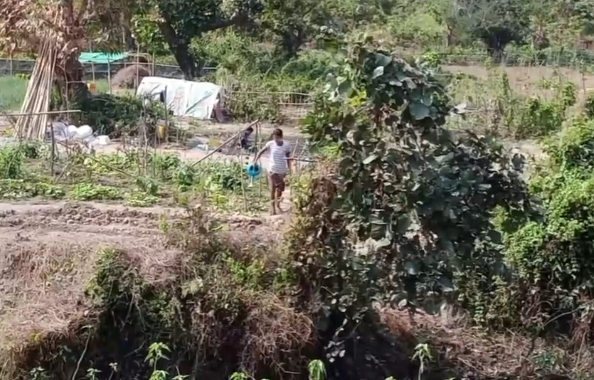 ရက်စက်စွာနင်းခြေခံလိုက်ရတဲ့ ဘဝသုံးခု (ရုပ်/သံ)