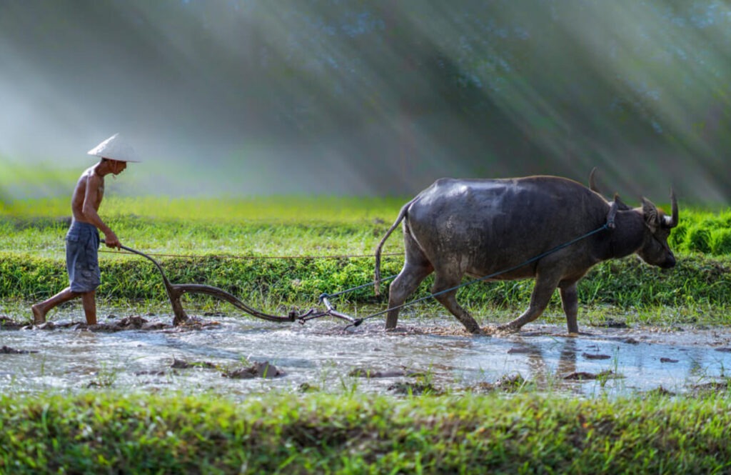 Mm News.xyz 2026 03 08 095304