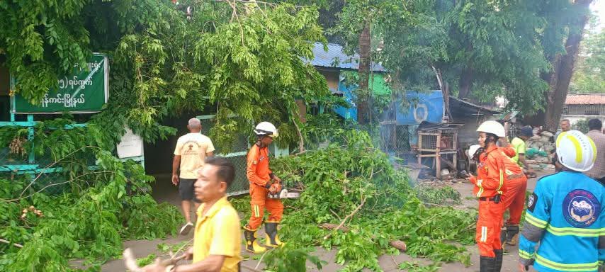 ရန်ကုန်တွင် မိုးသက်လေပြင်းတိုက်ခတ်မှုကြောင့် နေရာအနှံ့အပြား၌ သစ်ပင်များလဲကျ